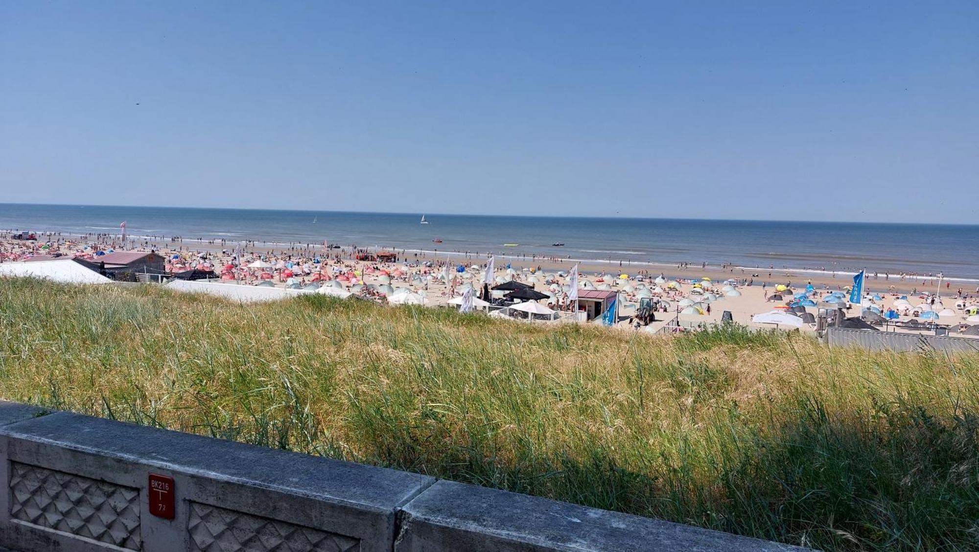 Zeelucht Apartment Zandvoort Exterior photo